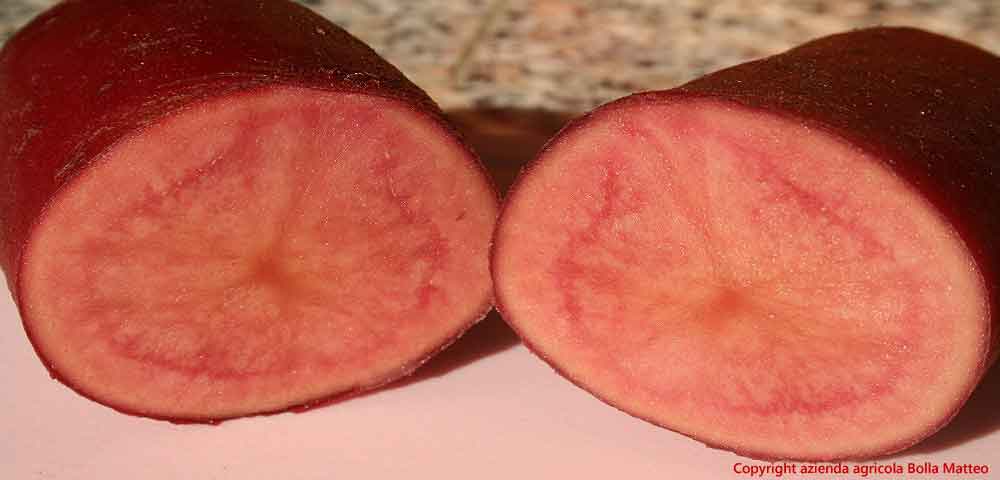 patata rosa gourmet per la ristorazione