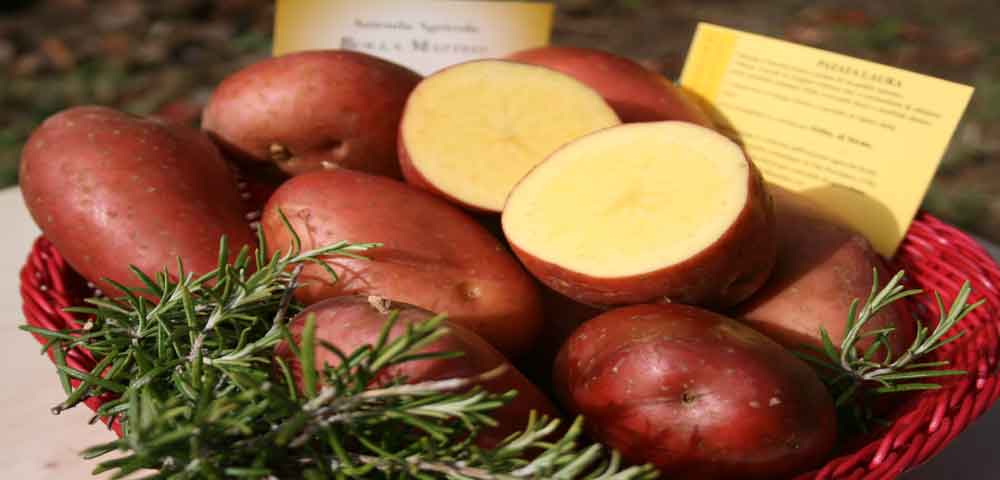 patata a buccia rossa e polpa gialla